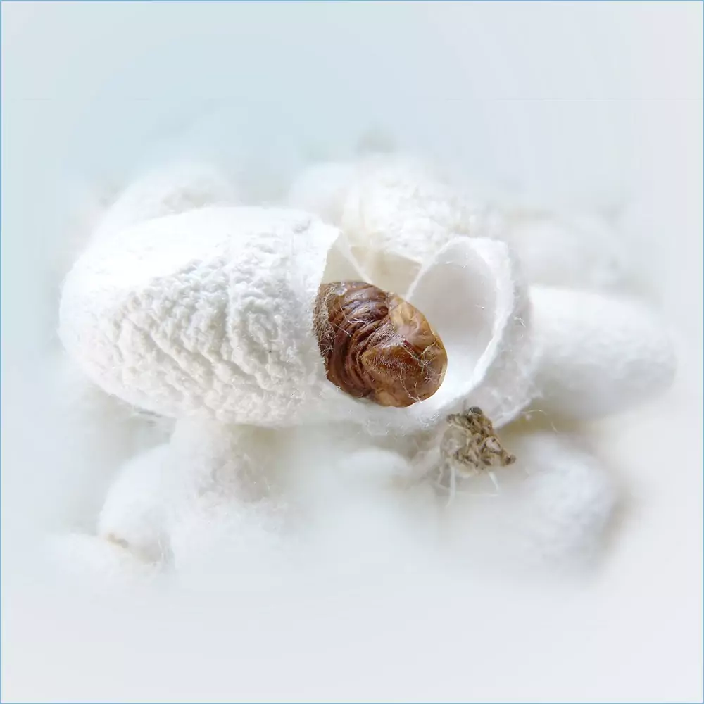 Wirklinie Repair - Keratin